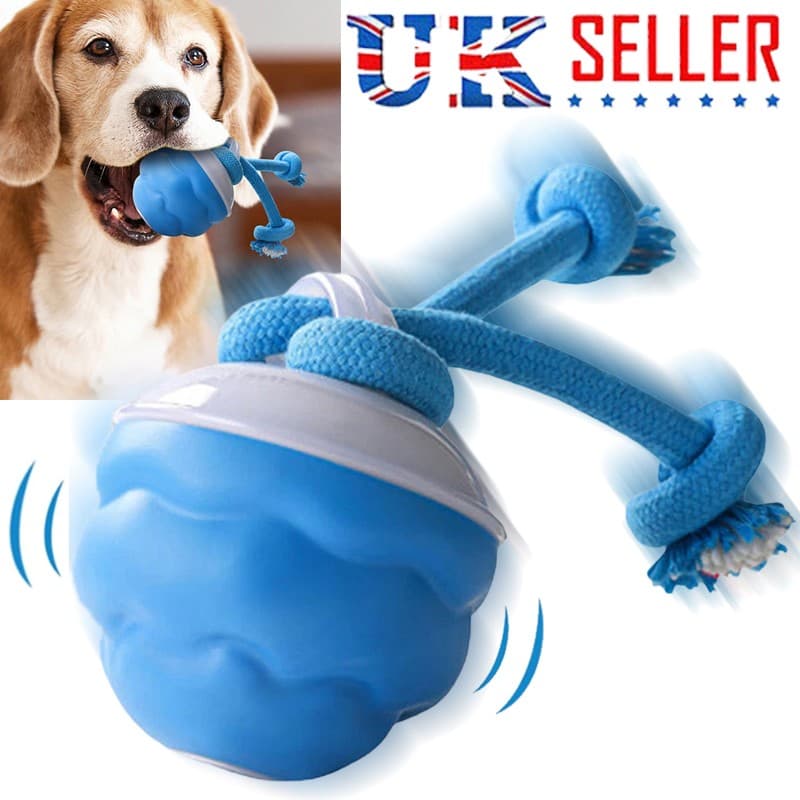 The Chase Buddy Dog Boredom Stimulating Toy  Smart Pet Puppy Ball With Ropes