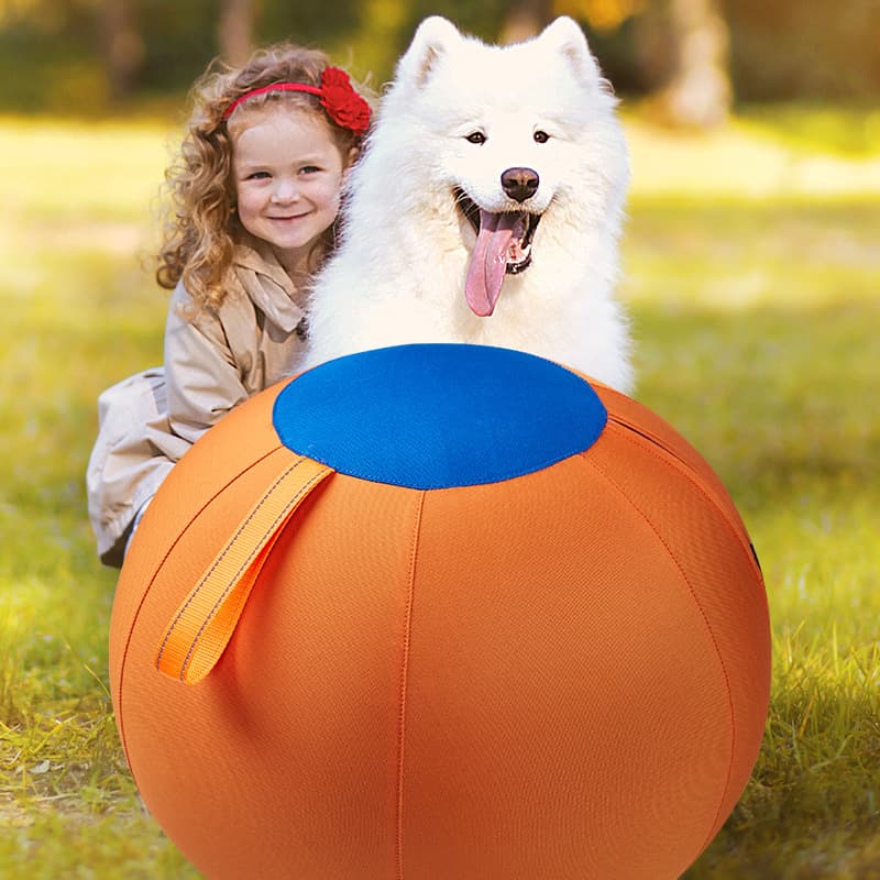 Giant Dog Ball Toy